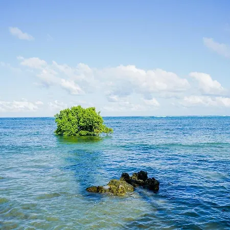 Woody'S Place Siargao General Luna  Exterior photo
